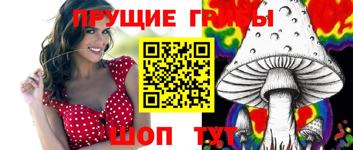 Псилоцибиновые грибы мицелий Петропавловск-Камчатский
