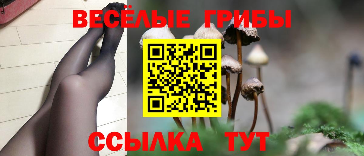 Псилоцибиновые грибы прущие грибы  Псилоцибиновые грибы GOLDEN TEACHER  Вход с VPN  Петропавловск-Камчатский 